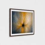 FOCUS contemporary artwork presented in a walnut frame.